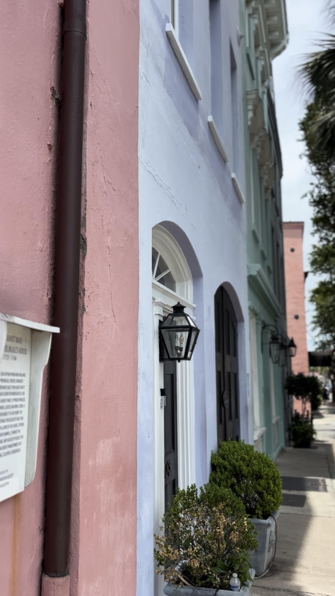 Charleston Canvas
