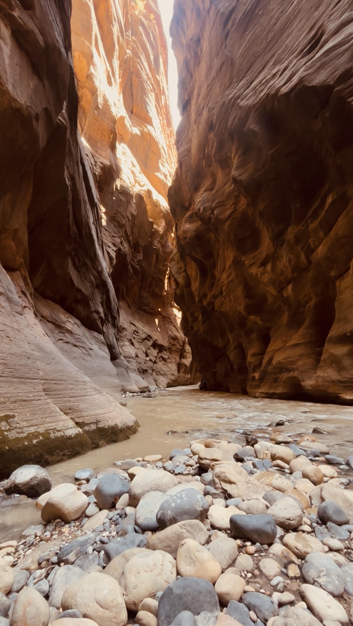 Utah Canvas