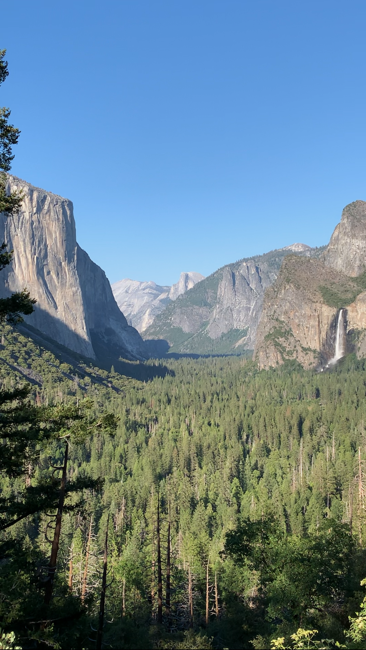 California